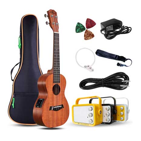Electric Concert Ukulele With Amp