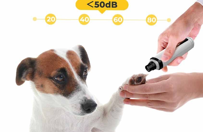 Pain-Free Grooming: Top Rechargeable Dog Nail Grinders for Sensitive Paws