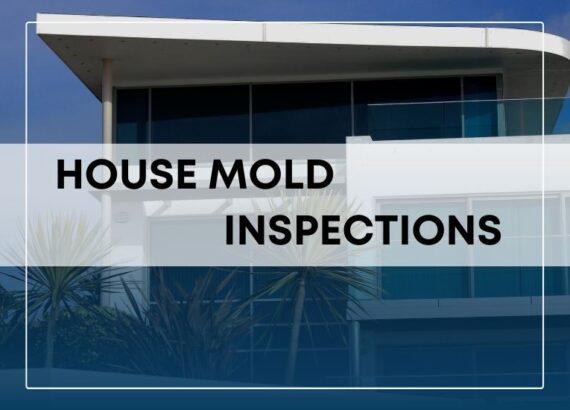 House Mold Inspections