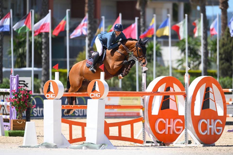 Equestrian Services